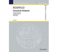 Concierto pastoral flute traversiere