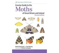 Concise Guide to the Moths of Great Britain and Ireland