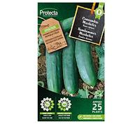 Concombre Marketer- Protecta Graines paysanne