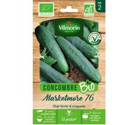 Vilmorin Sachet graines Concombre Marketmore 76 Bio - Cucumis sativus
