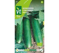 Concombre Marketmore Bio Graines - Fruits d’environ 20 cm de longueur