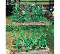 Hornby France - Busch - 1214 - Circuit - Train - Plants de concombres et tomates