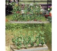 Concombres, Tomates Busch 1214 H0 G