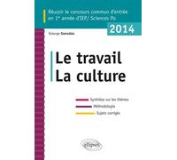 Concours commun en ScPo/IEP 2014. Le travail - La culture - Synthèse sur les thèmes • Méthodologie • Annales corrigées Edition 2014 - Solange Gonzalez - Ellipses - broché - Scolaire / Universitaire