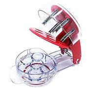 Condello Casa Denoyauteur Cerise,Kirsche Pitter Cherry Stoner,Olives Noyaux Extracteur de Cuisine,Fruit Graine Corer Seed Remover Pierre Core Pit Removal Outil pour 6 cerises Raisins Canneberges (1)