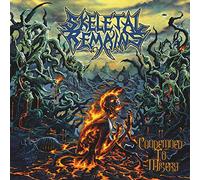 Skeletal Remains - Condemned to Misery