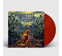 Condemned to Misery (Re-Issue + Bonus 2021) (Gatefold Brick Red LP) [Import]