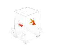 condinggen Tour de poisson en acrylique sous vide - Pour l'aménagement paysager écologique - Observation confortable