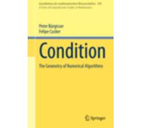 Condition - The Geometry Of Numerical Algorithms