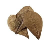 HOBBY NANO-FEUILLES DE BADAMIER 12 FEUILLES POUR AQUARIUM, Favorisé la vitalité et le bien-être des poissons et crevettes, Soutient votre mue de crevettes, couleur : marron