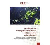 Conditions de propagation des micro-ondes dans les précipitations Variabilité spatiale à moyenne échelle de l'atténuation des micro-onde dans les champs de précipitat - Armand NZEUKOU - Universitaires