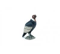 Condor