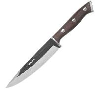 Condor Patagon