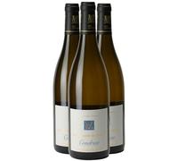 Condrieu Les Terrasses de l'Empire - Blanc 2024 - Domaine Georges Vernay - Vin Blanc de la Vallée du Rhône (3x75 IO