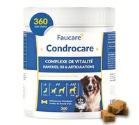 Condroprotecteur pour Arthrose 360 Snacks (1 an) avec Collagène, Moule Verte, Magnésium, Calcium, Anti-inflammatoire Articulaire, Glucosamine, Chondroïtine, Complexe Vitalité. Faucare