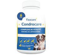 Condroprotecteur pour Arthrose Chien 180 Capsules (6 Mois) avec Collagène, Moule Verte, Magnésium, Calcium, Anti-inflammatoire Articulaire, Glucosamine, Chondroïtine, Complexe Vitalité.