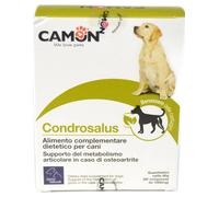 Condrosalus 60 Comprimés Camon