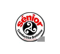 Conductrice Sénior Bretonne Triskel (15x15cm) - Sticker/Autocollant