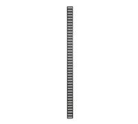 Conduit de câble Vertical 42U - Largeur 10cm