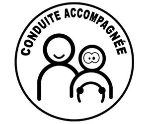 conduite accompagnée ado concentré - 15cm - Autocollant/Sticker