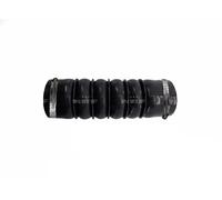 Conduite d'air 166101 NRF pour RENAULT CLIO III CLIO III Grandtour