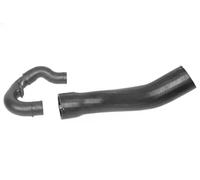 Tubo flexible de aire de sobrealimentación SASIC 3356080