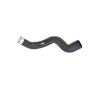 Conduite d'air 86601 BUGIAD pour AUDI A6 C6 A6 C6 Avant
