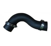Conduite d'air Caoutchouc 82192 BUGIAD pour FIAT BRAVO II