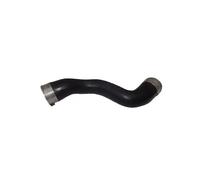 Conduite d'air gauche 81656 BUGIAD pour MERCEDES-BENZ CLS