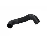 Conduite d'air Intercooler, échangeur 20619 ORIGINAL IMPERIUM pour FIAT