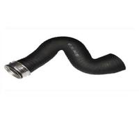 Durite de turbo supérieure sur radiateur d'air pour Volkswagen Passat 5