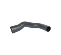 BUGIAD 85601 Durite de turbo