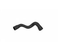Conduite d'air Intercooler, échangeur 86620 BUGIAD pour AUDI VW