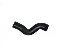Conduite d'air Intercooler, échangeur 87618 BUGIAD pour VW SEAT