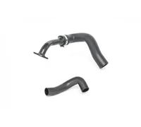 Conduite d'air Intercooler, échangeur 88567 BUGIAD pour FIAT QUBO