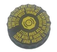 Conduites de frein Convient pour Peugeot 307 308 408 3008 5008 RCZ C4 tuyau flexible de liquide de frein bouchon de tube 463588 4635A6 464334(CAP)