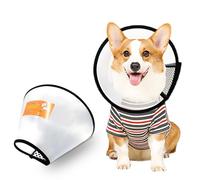 Cône Collerette en Plastique, Protecteur de Cou Réglable,Collier, Convient pour chatons et chiots, Taille chats et chiens de Small,Taille mini,collerette chat,collerette chien(33-36cm)