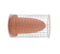 Cône de Ponte pour Poisson-Ange, Seau D’élevage, Panier Protecteur | Céramique à Surface Lisse, Grille Inox et Trou D’aération, Filet D’isolement Inclus
