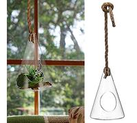 Cône en verre à suspendre - Pot en verre - 13 x 20 cm - Corde de jute décorative - Cône de plantation (1 cône en verre)