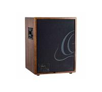 CONE-wnd 100W, 2 Canaux, Rev/Chorus