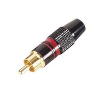 conectic Plus 609476 RCA mâle, métal, plaqué or, Taille 6 mm, rouge
