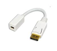 CONECTICPLUS Câble mini displayport femelle vers displayport 15cm