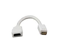 CONECTICPLUS Câble mini dvi vers hdmi femelle 20cm