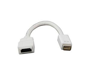 CONECTICPLUS Câble mini dvi vers hdmi femelle 20cm