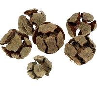 Cônes de cyprès Nature 3cm 500g Décoration DIY Avent