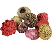 Cônes de Leucadendron Bellgum Deko vert rouge jaune givré 300g - pour arrangements floraux & fleurs de deuil
