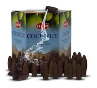 Cônes d'encens à refoulement en noix de coco pour cascade de fumée aromatique et brume de chute avec tapis en kit