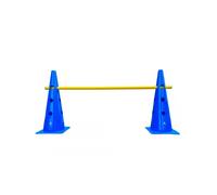 Cônes d'entraînement avec barre Sveltus (x2) Bleu TU Unisex