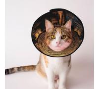 Cônes personnalisés pour animal domestique - Design unique pour chat et chien, collier pour la récupération post-opératoire, cou réglable Stargate M