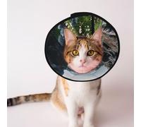 Cônes personnalisés pour animal domestique - Design unique pour chat et chien, collier pour la récupération post-opératoire, cou réglable Mountain Valley M